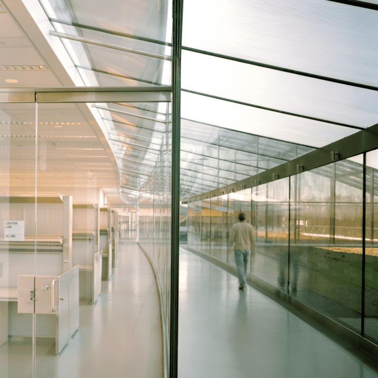 Sustainability Insights